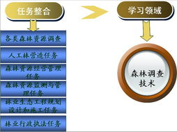 森林調查技術精品課程網(wǎng)站——歡迎您的光臨